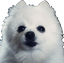 :gabe: