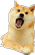 :surpriseddoge: